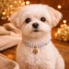 collier chien quartz rose